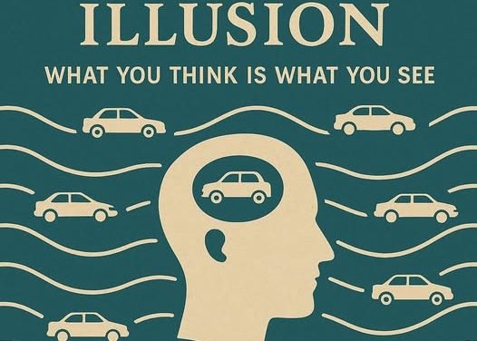 The Frequency Illusion: What you Think is What You See